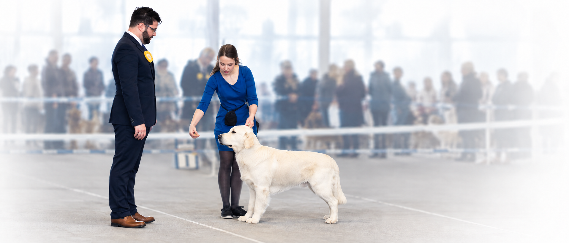 Ciro Boiano judging a dog in the show ring